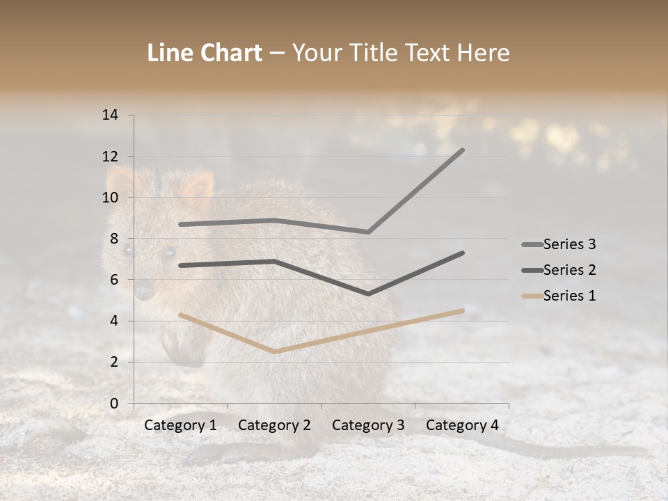 Setonix Brachyurus Small Western Australia PowerPoint Template