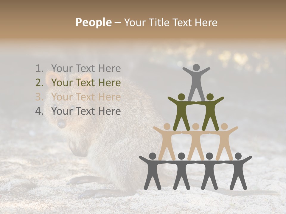 Setonix Brachyurus Small Western Australia PowerPoint Template