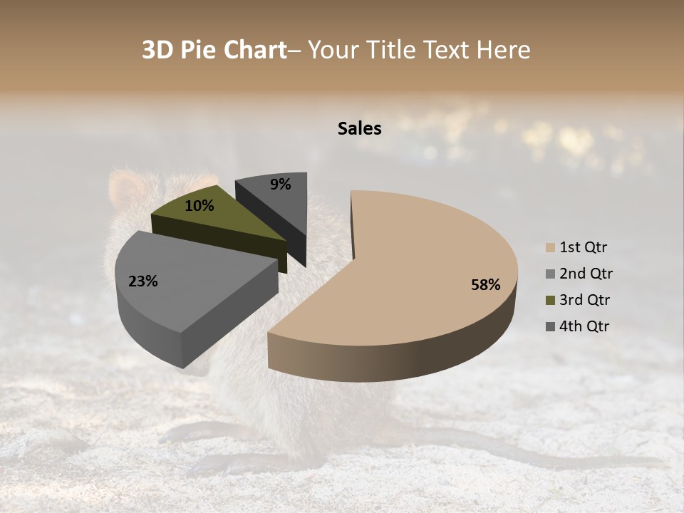 Setonix Brachyurus Small Western Australia PowerPoint Template