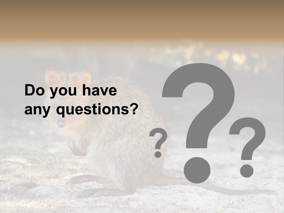 Setonix Brachyurus Small Western Australia PowerPoint Template