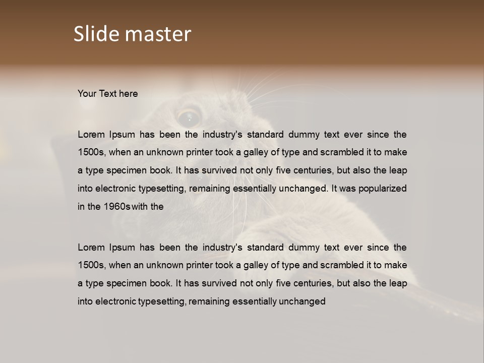 A Gray Cat Laying On Top Of A Wooden Table PowerPoint Template