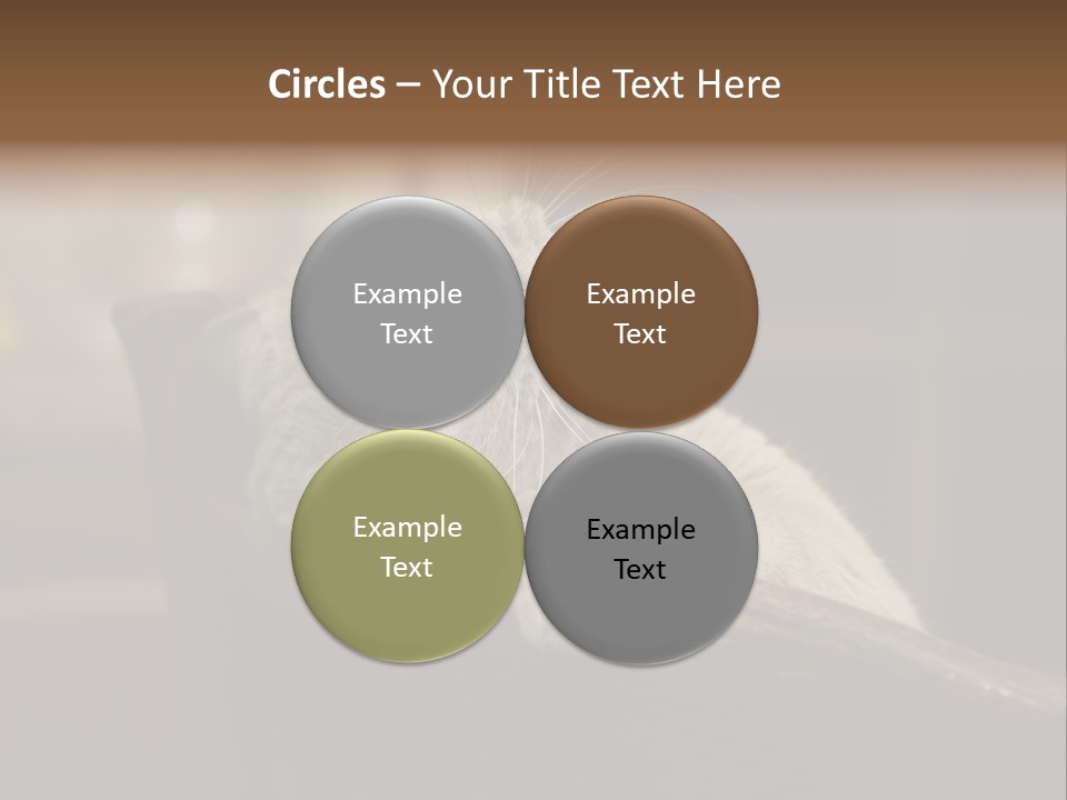 A Gray Cat Laying On Top Of A Wooden Table PowerPoint Template