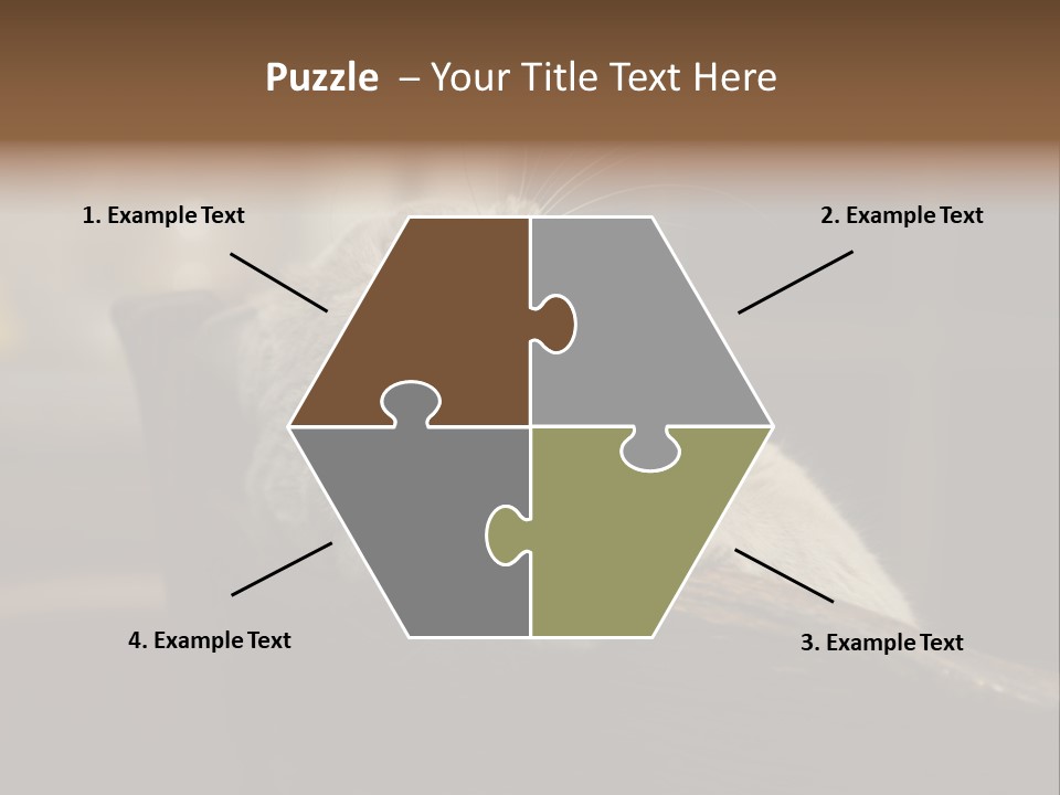 A Gray Cat Laying On Top Of A Wooden Table PowerPoint Template