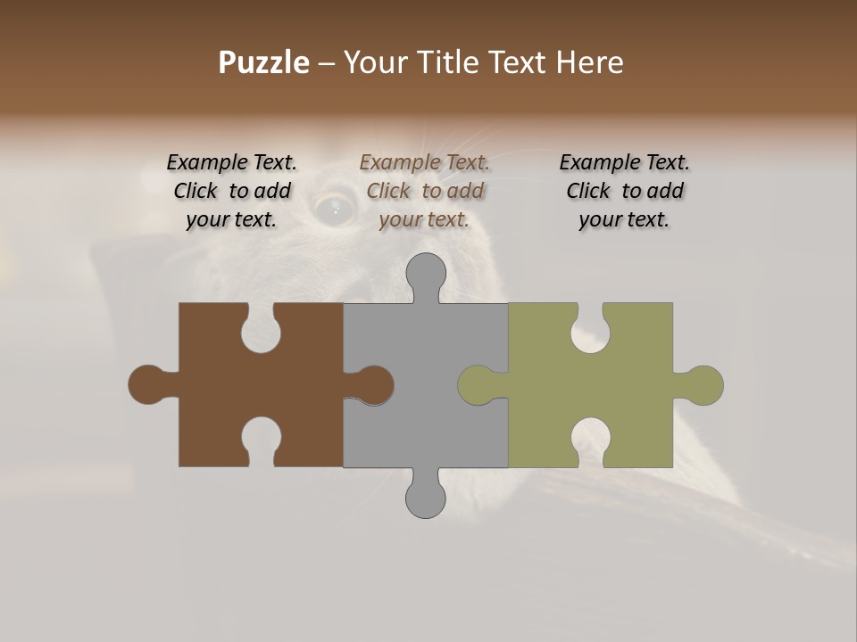 A Gray Cat Laying On Top Of A Wooden Table PowerPoint Template