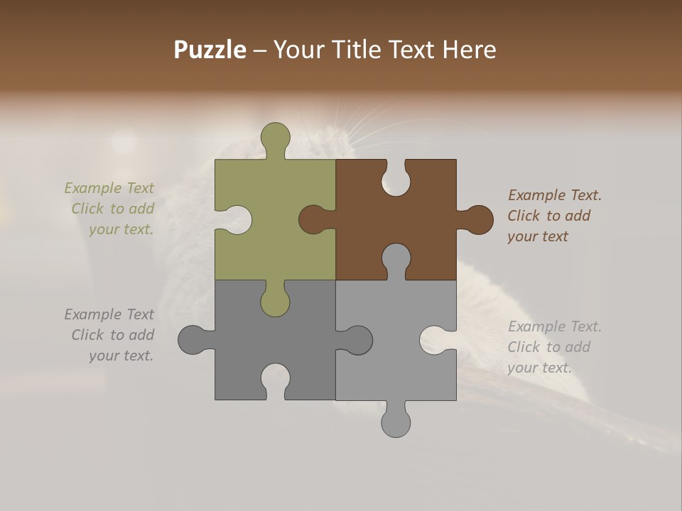 A Gray Cat Laying On Top Of A Wooden Table PowerPoint Template