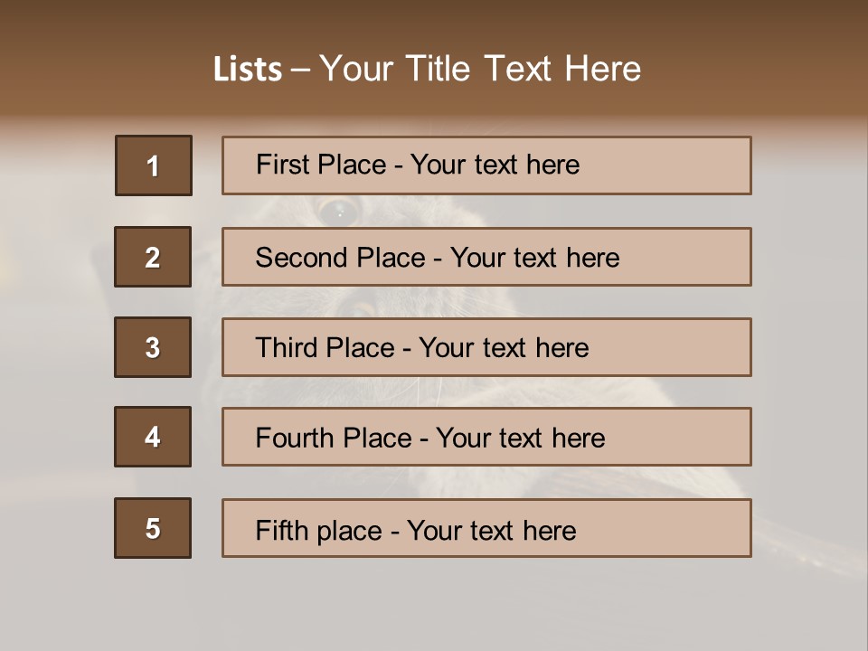 A Gray Cat Laying On Top Of A Wooden Table PowerPoint Template