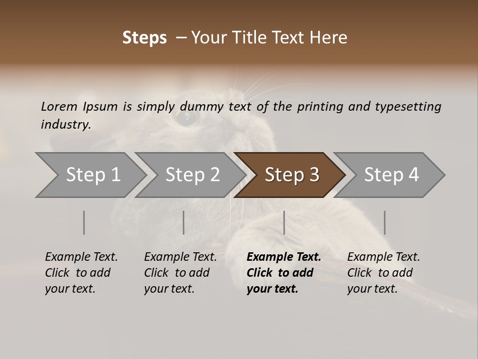 A Gray Cat Laying On Top Of A Wooden Table PowerPoint Template