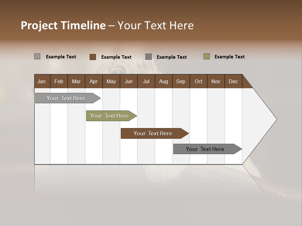 A Gray Cat Laying On Top Of A Wooden Table PowerPoint Template