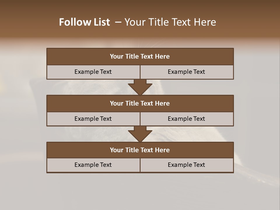 A Gray Cat Laying On Top Of A Wooden Table PowerPoint Template