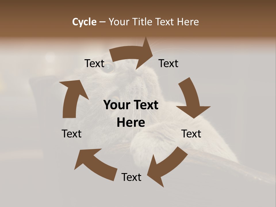 A Gray Cat Laying On Top Of A Wooden Table PowerPoint Template