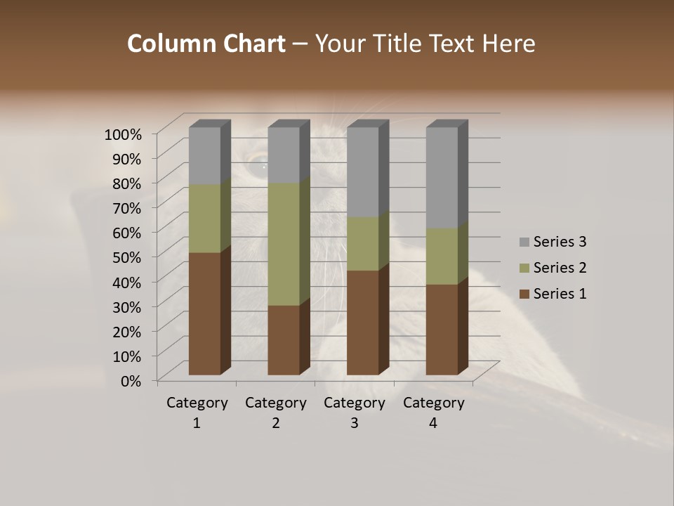 A Gray Cat Laying On Top Of A Wooden Table PowerPoint Template