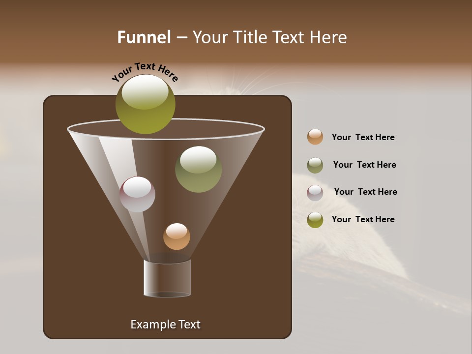 A Gray Cat Laying On Top Of A Wooden Table PowerPoint Template