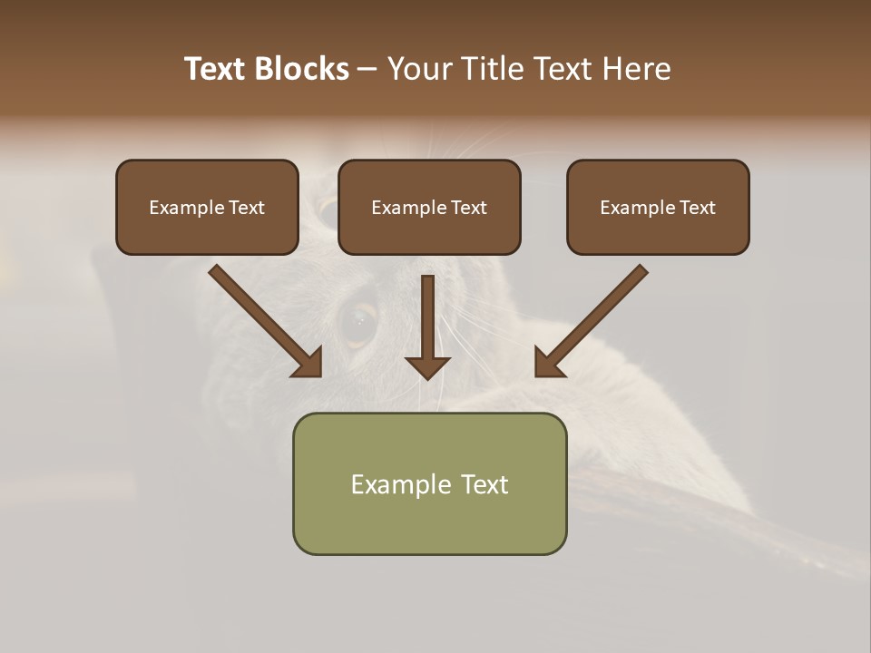 A Gray Cat Laying On Top Of A Wooden Table PowerPoint Template
