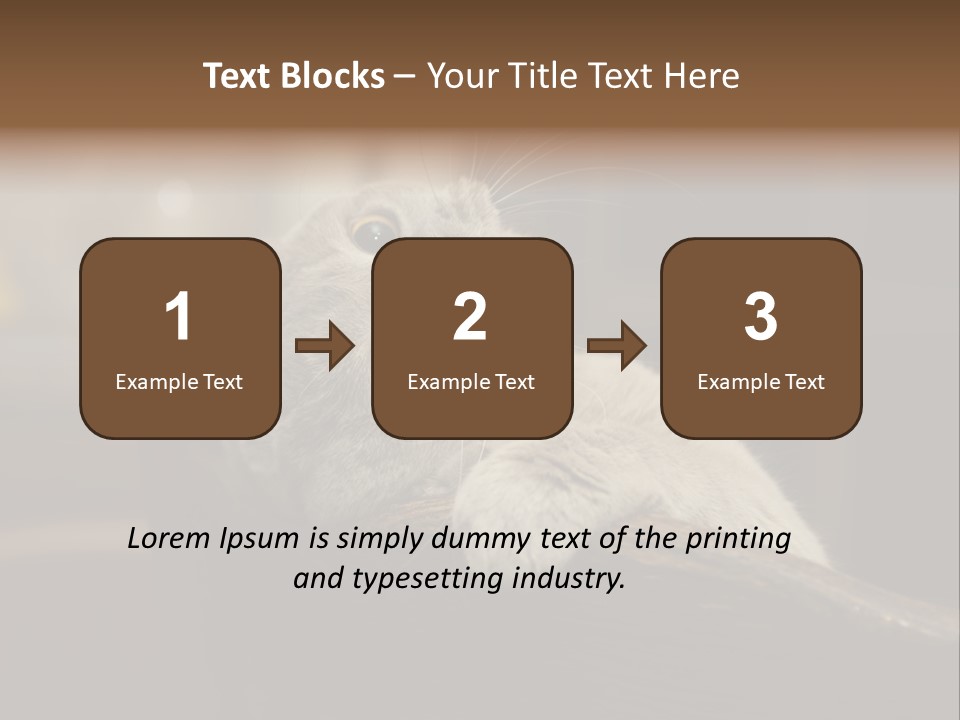 A Gray Cat Laying On Top Of A Wooden Table PowerPoint Template