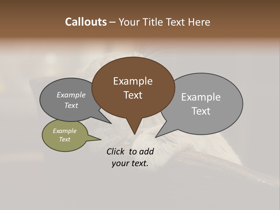 A Gray Cat Laying On Top Of A Wooden Table PowerPoint Template