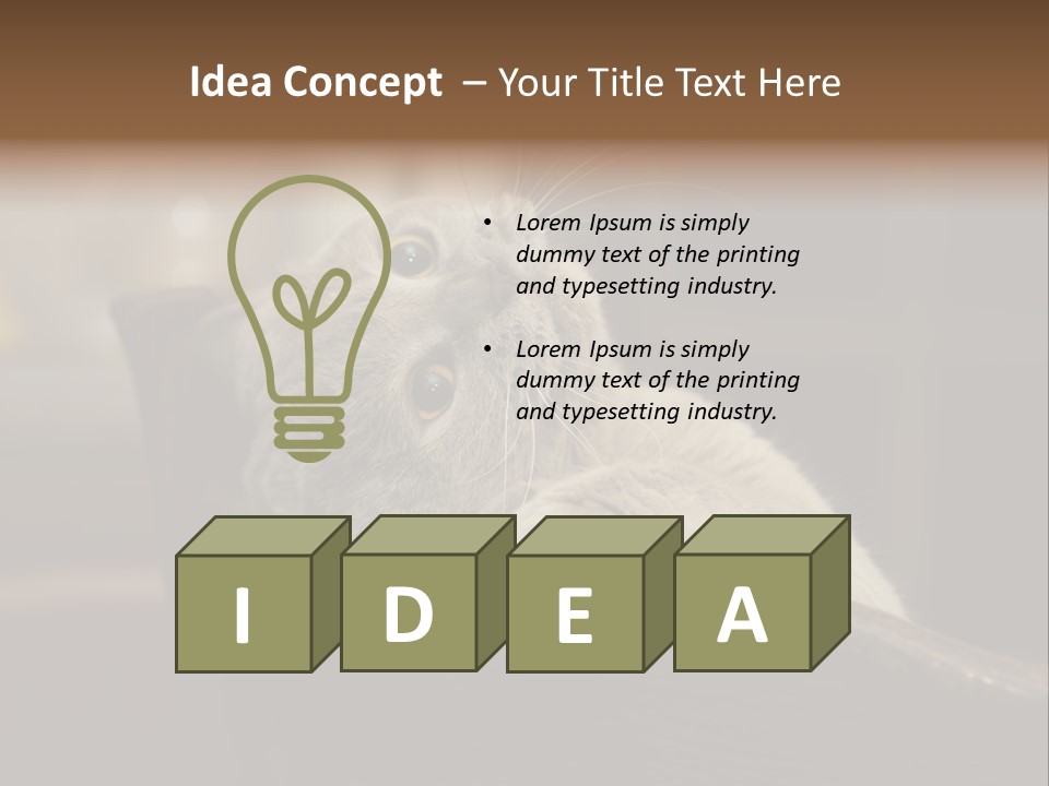 A Gray Cat Laying On Top Of A Wooden Table PowerPoint Template