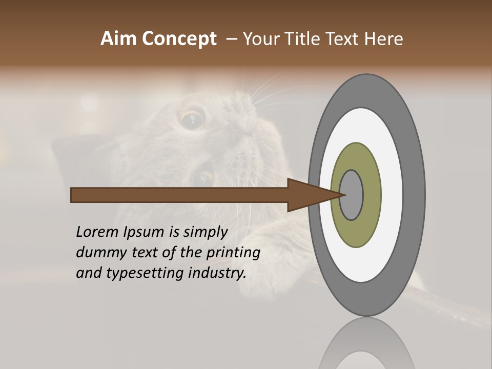 A Gray Cat Laying On Top Of A Wooden Table PowerPoint Template