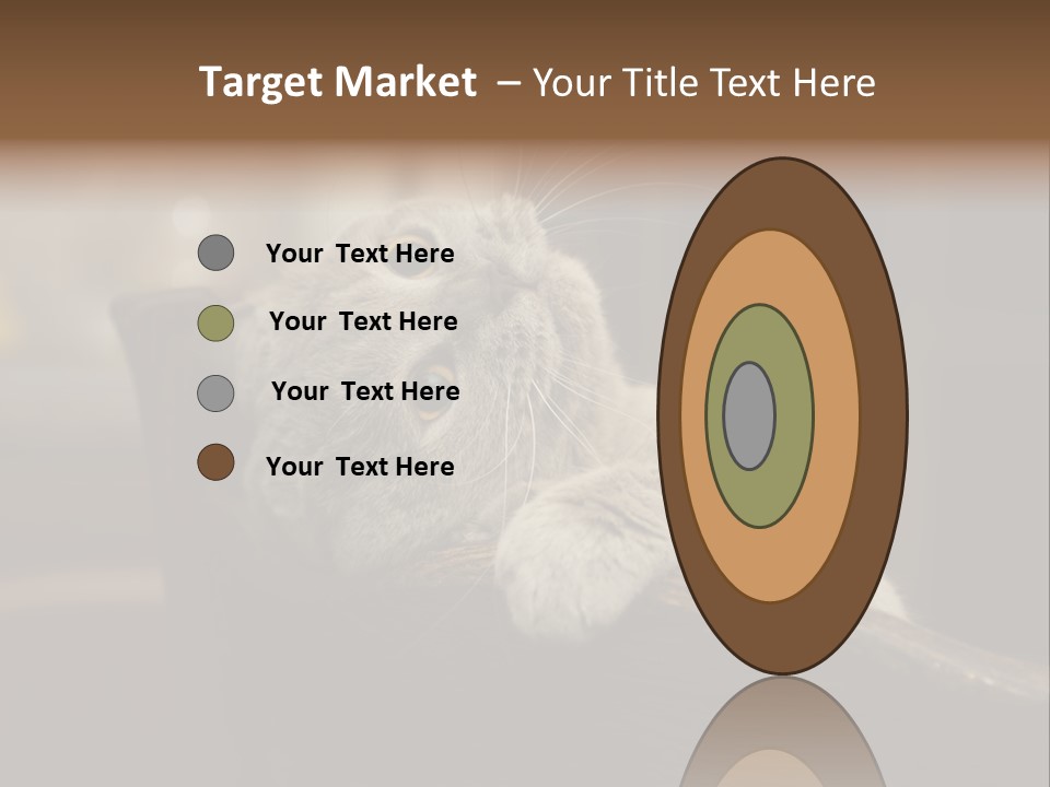 A Gray Cat Laying On Top Of A Wooden Table PowerPoint Template