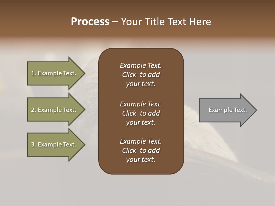 A Gray Cat Laying On Top Of A Wooden Table PowerPoint Template