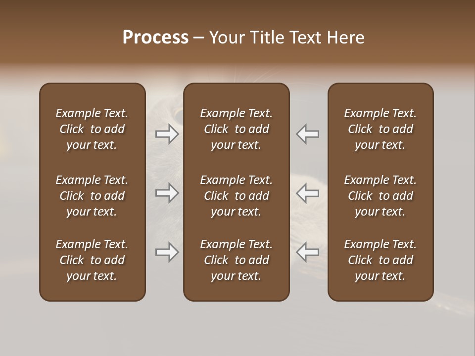A Gray Cat Laying On Top Of A Wooden Table PowerPoint Template