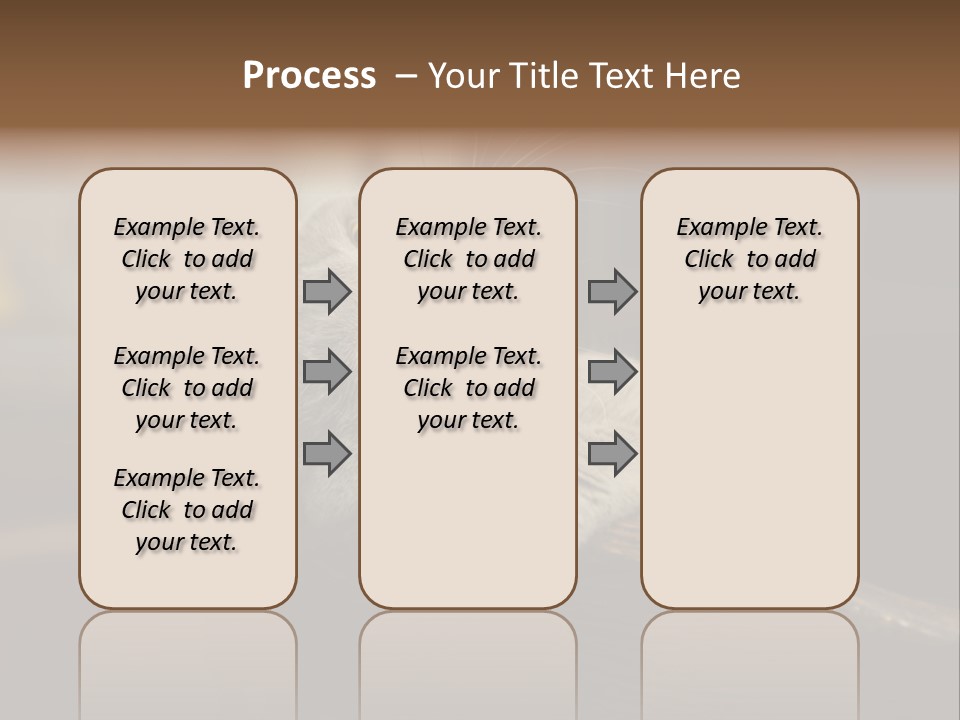 A Gray Cat Laying On Top Of A Wooden Table PowerPoint Template