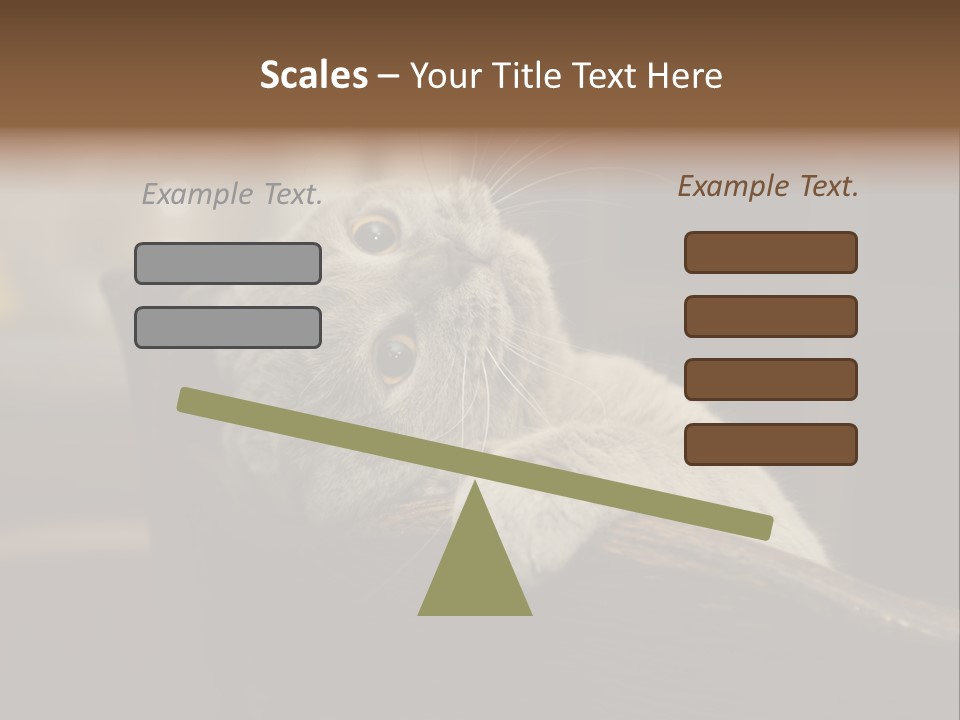 A Gray Cat Laying On Top Of A Wooden Table PowerPoint Template