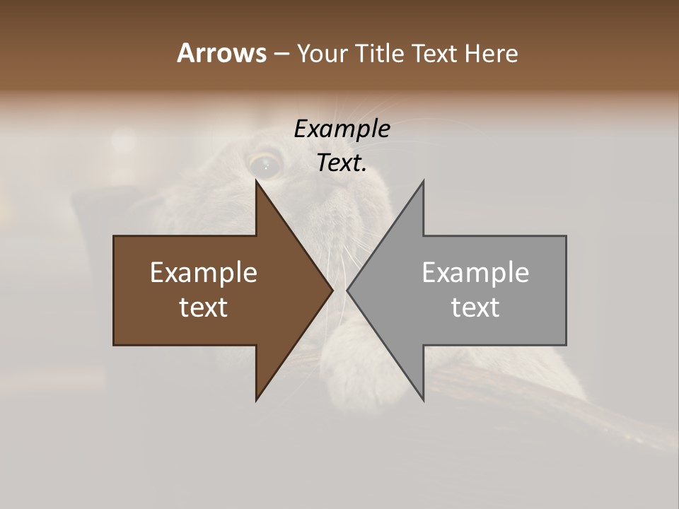 A Gray Cat Laying On Top Of A Wooden Table PowerPoint Template