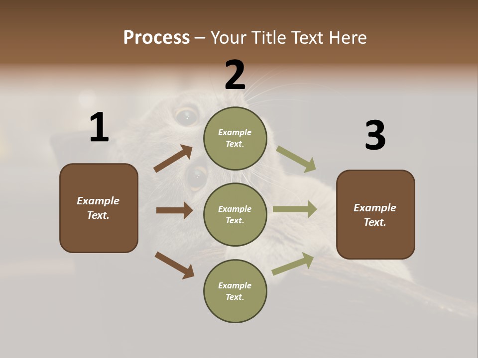 A Gray Cat Laying On Top Of A Wooden Table PowerPoint Template
