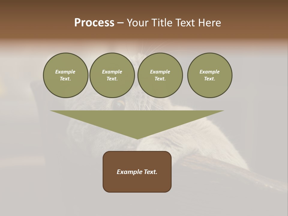 A Gray Cat Laying On Top Of A Wooden Table PowerPoint Template