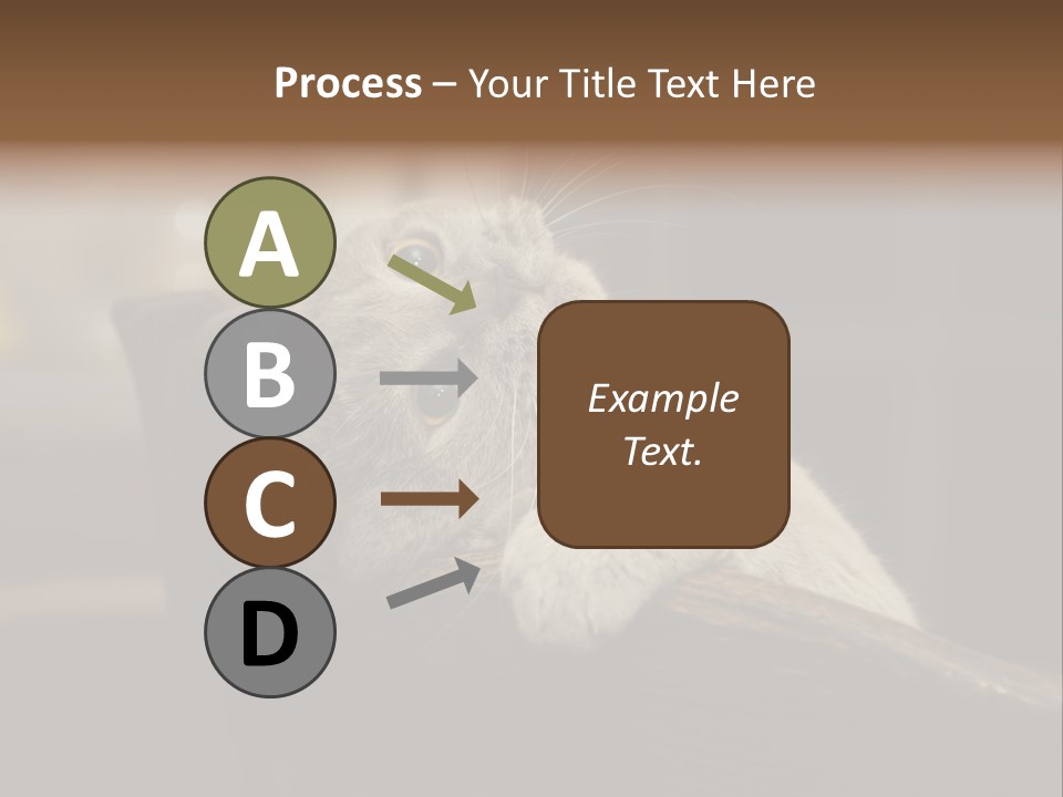 A Gray Cat Laying On Top Of A Wooden Table PowerPoint Template