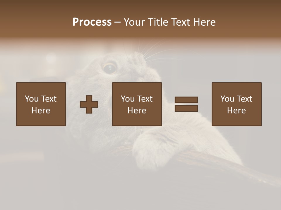 A Gray Cat Laying On Top Of A Wooden Table PowerPoint Template