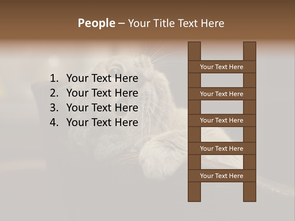 A Gray Cat Laying On Top Of A Wooden Table PowerPoint Template