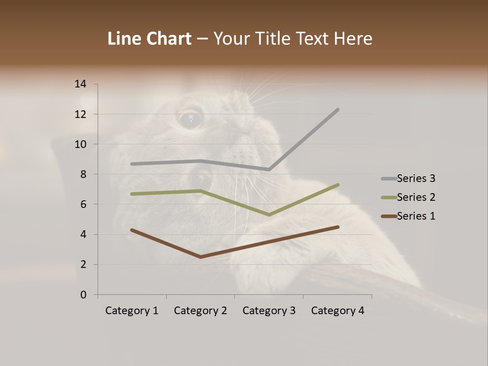 A Gray Cat Laying On Top Of A Wooden Table PowerPoint Template