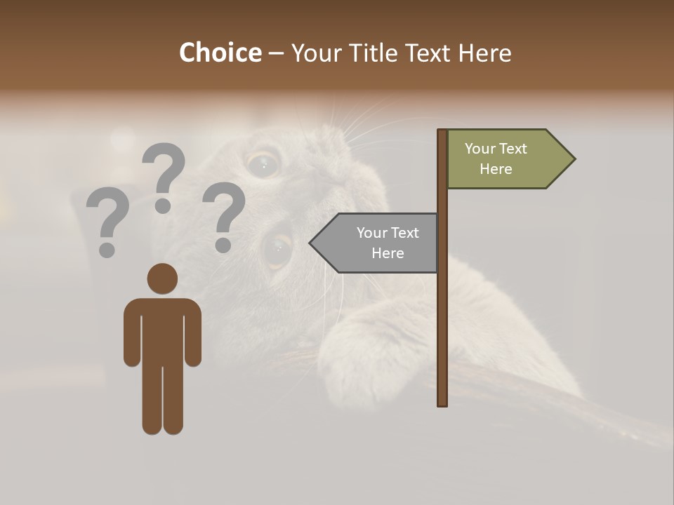 A Gray Cat Laying On Top Of A Wooden Table PowerPoint Template