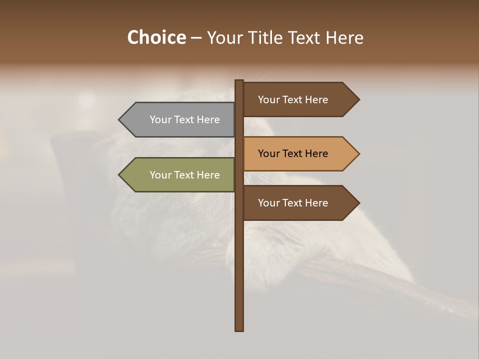 A Gray Cat Laying On Top Of A Wooden Table PowerPoint Template