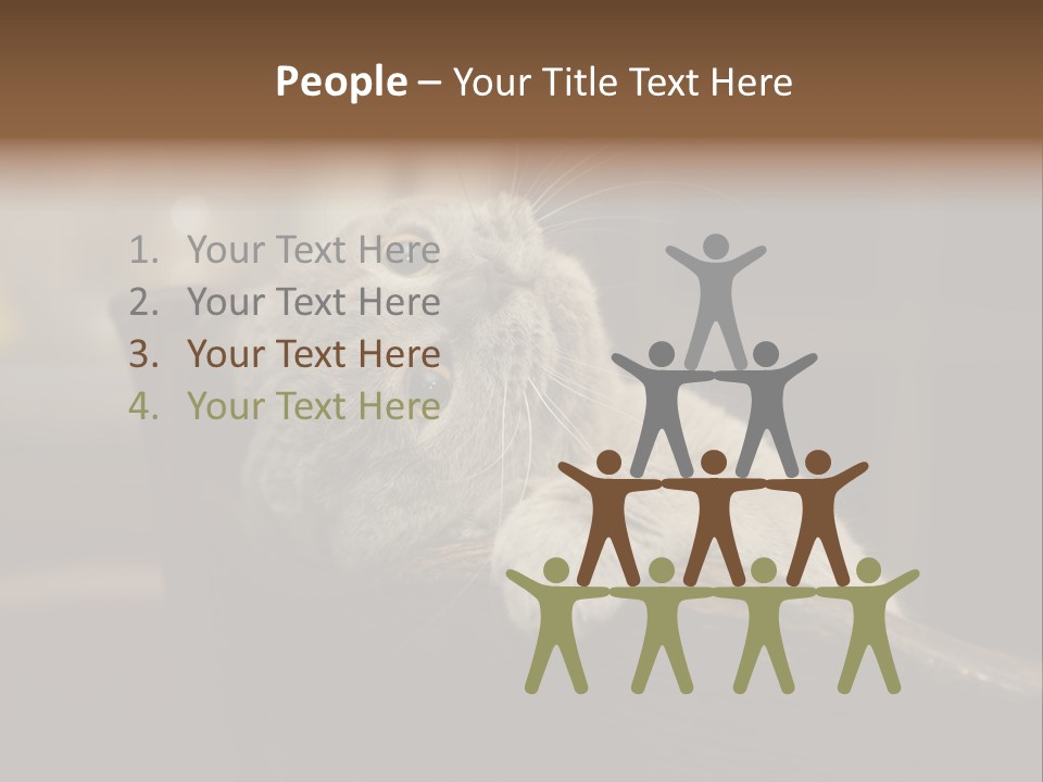 A Gray Cat Laying On Top Of A Wooden Table PowerPoint Template