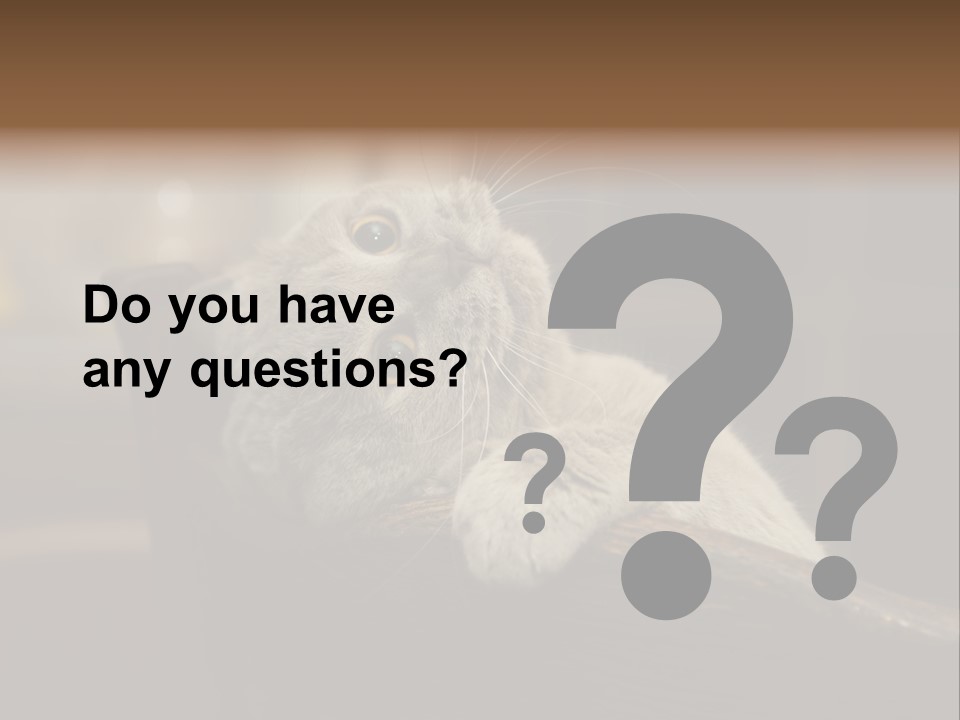 A Gray Cat Laying On Top Of A Wooden Table PowerPoint Template