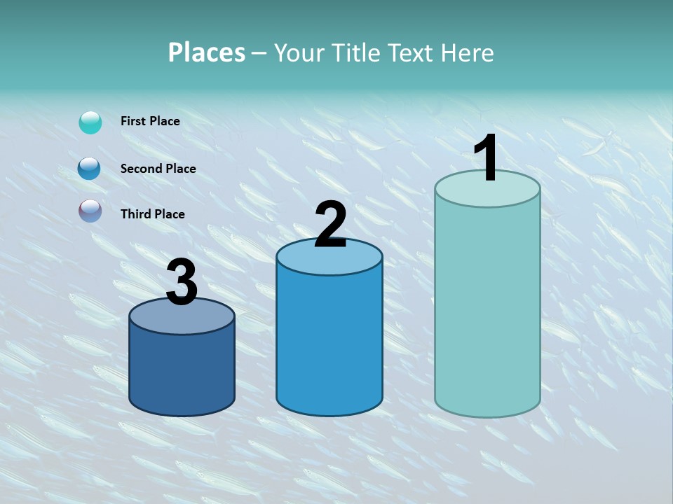 Reef Red Sea Scuba PowerPoint Template