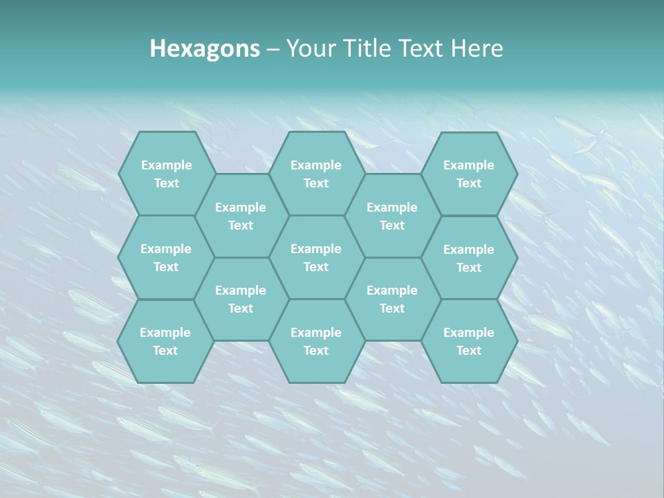 Reef Red Sea Scuba PowerPoint Template