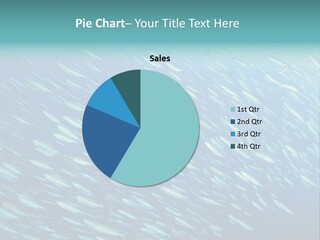 Reef Red Sea Scuba PowerPoint Template