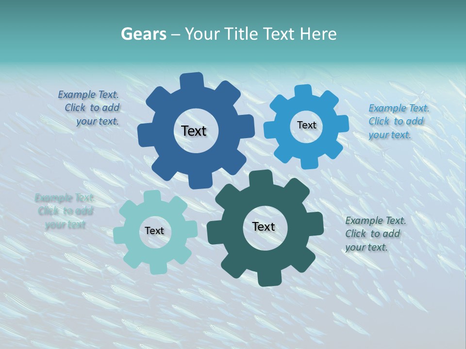 Reef Red Sea Scuba PowerPoint Template