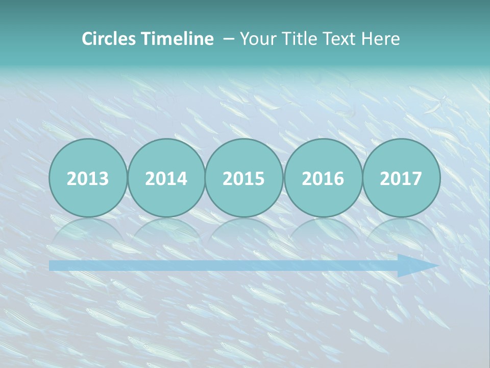 Reef Red Sea Scuba PowerPoint Template