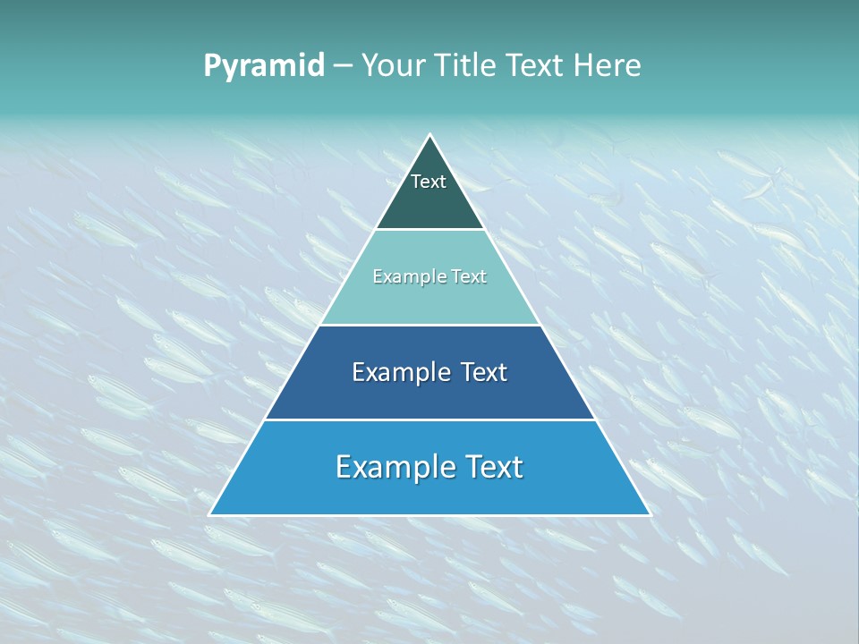 Reef Red Sea Scuba PowerPoint Template
