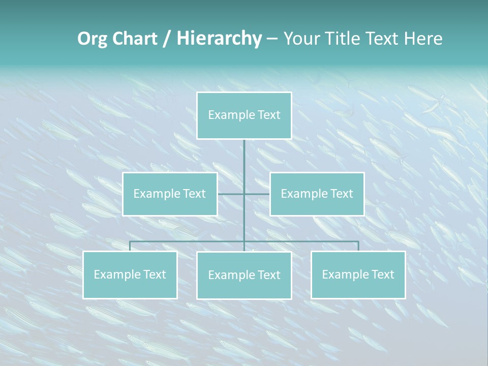 Reef Red Sea Scuba PowerPoint Template