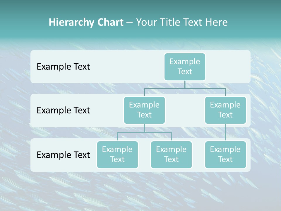Reef Red Sea Scuba PowerPoint Template