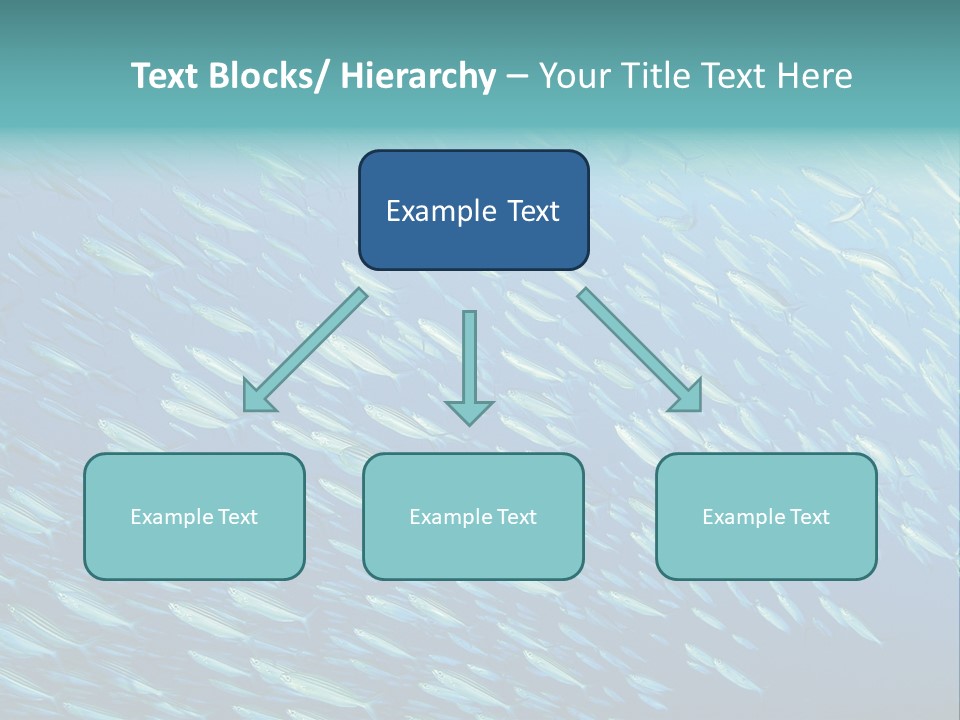 Reef Red Sea Scuba PowerPoint Template