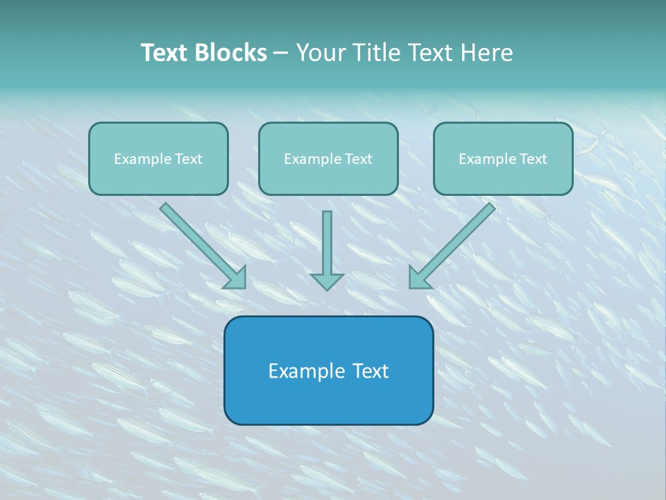 Reef Red Sea Scuba PowerPoint Template