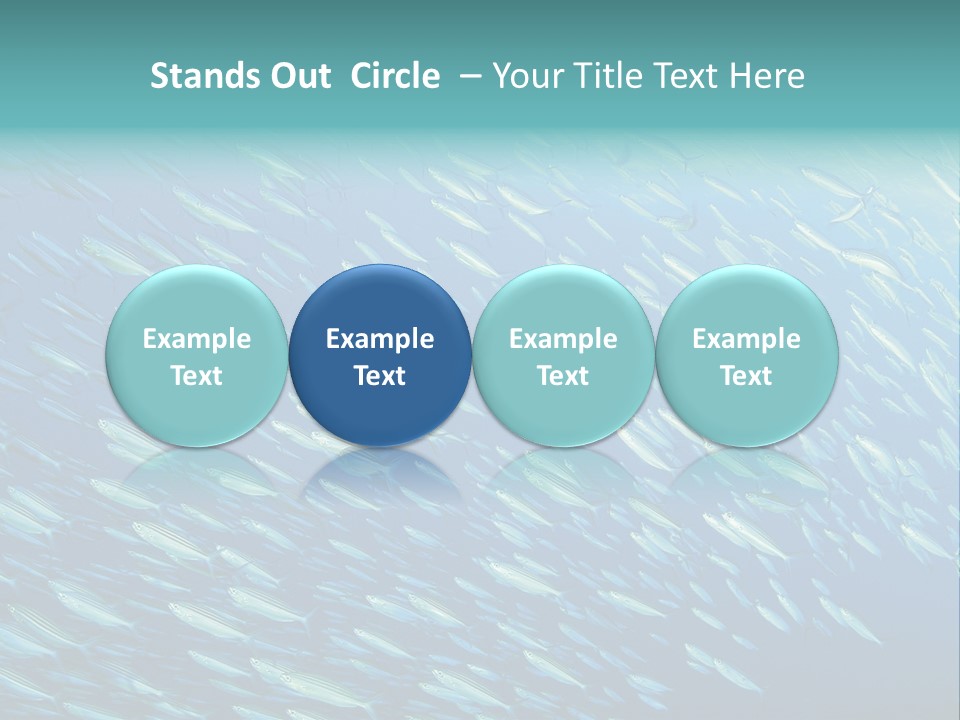 Reef Red Sea Scuba PowerPoint Template