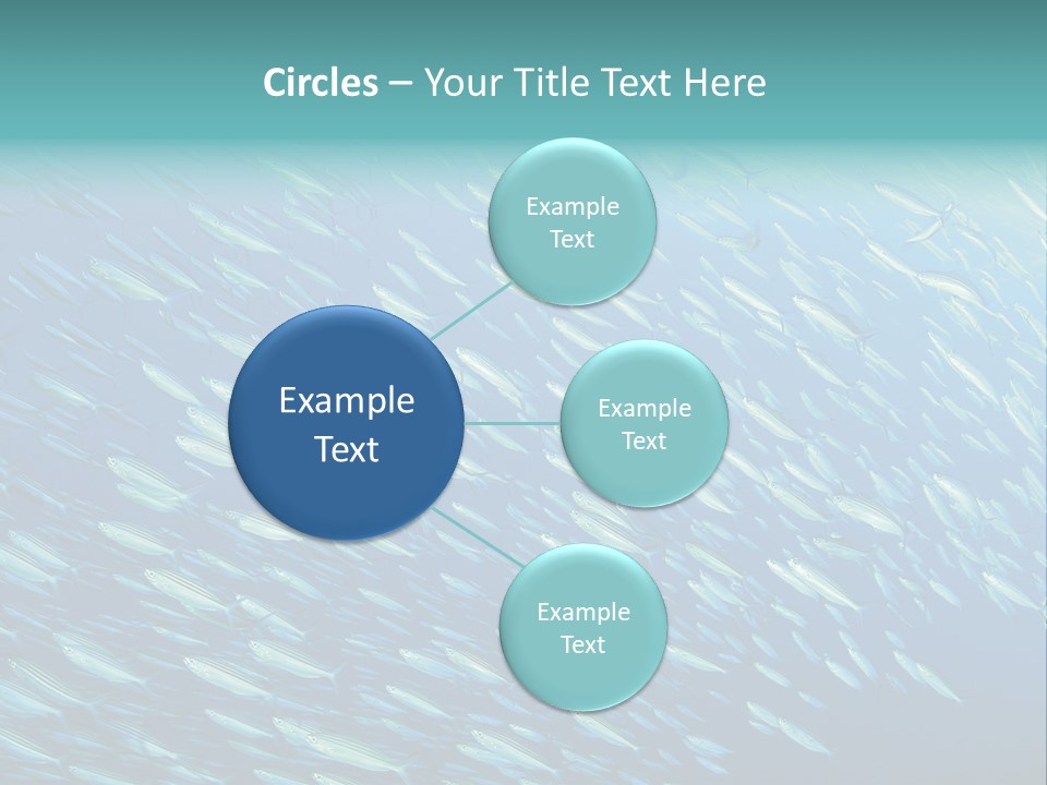 Reef Red Sea Scuba PowerPoint Template