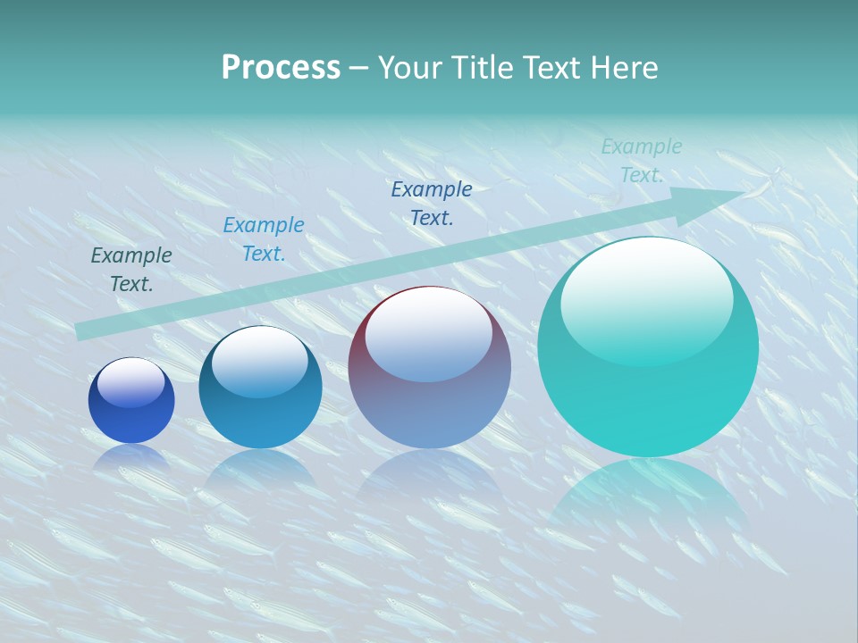 Reef Red Sea Scuba PowerPoint Template